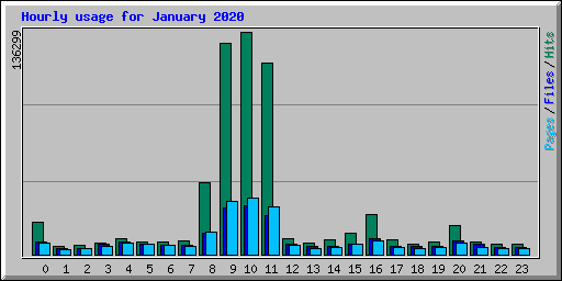 Hourly usage for January 2020