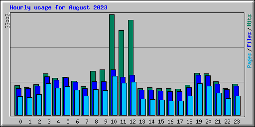 Hourly usage for August 2023