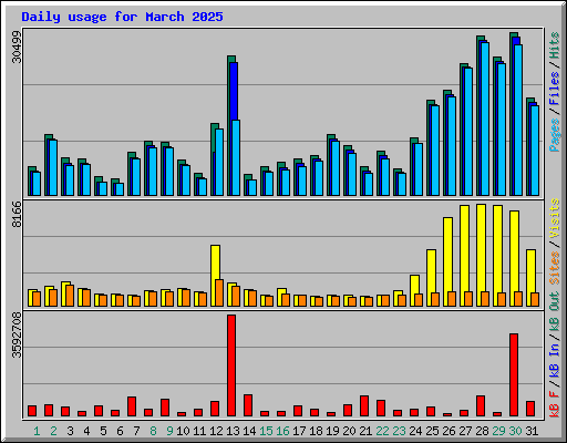 Daily usage for March 2025