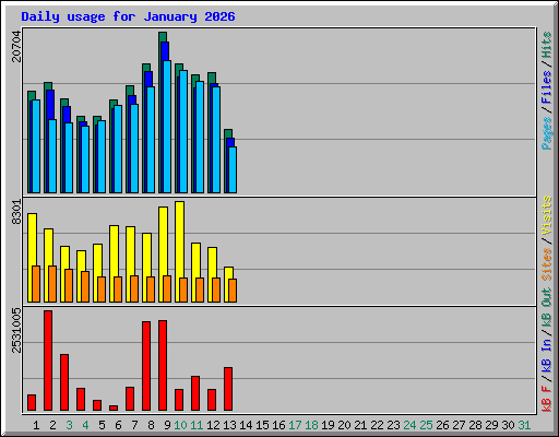 Daily usage for January 2026