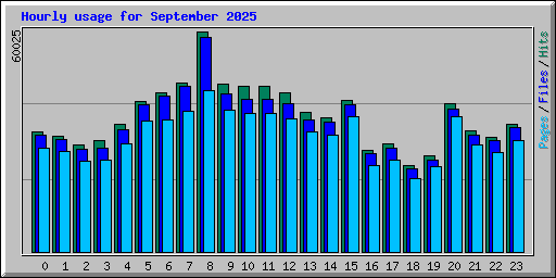 Hourly usage for September 2025