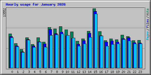 Hourly usage for January 2026