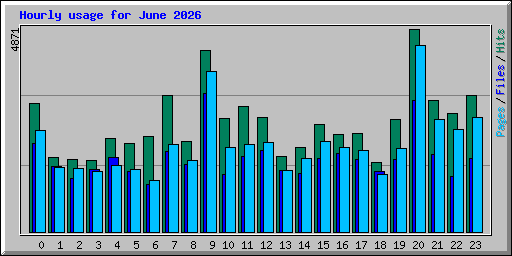 Hourly usage for June 2026