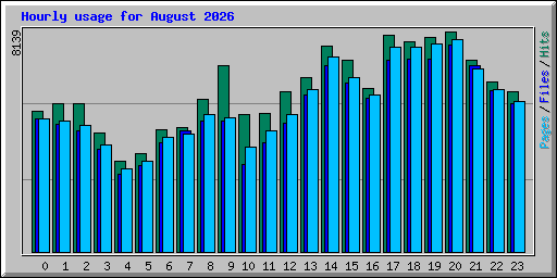 Hourly usage for August 2026