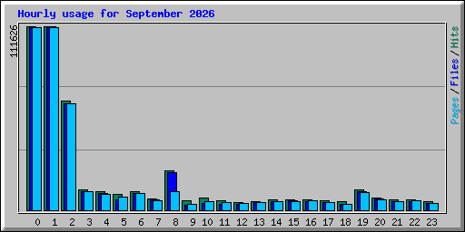 Hourly usage for September 2026